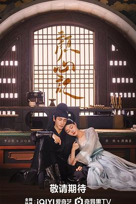 信息化seo优化活动